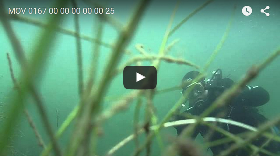 Video-Impressionen