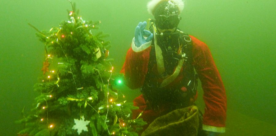 Weihnachtstauchen 2019