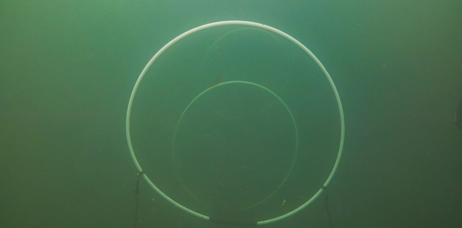 1. Arbeitseinsatz 2020