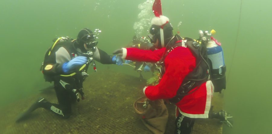 Weihnachtstauchen 2024