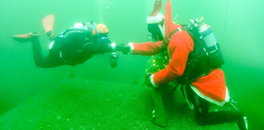 Weihnachtstauchen 2025